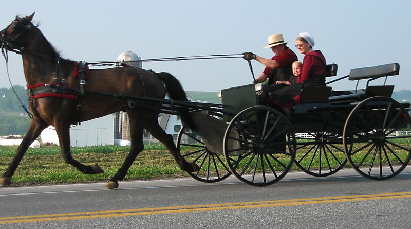 armish forkskin wagon